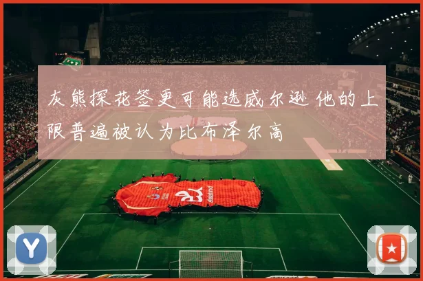 灰熊探花签更可能选威尔逊 他的上限普遍被认为比布泽尔高